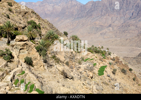 Das Dorf Wekan und seine Plantagen befindet sich hohe Ghubrah Bowl und Umgebung der Jebel Akhdar Gebirge im Oman. Stockfoto