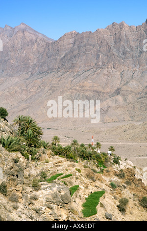 Das Dorf Wekan und seine Plantagen befindet sich hohe Ghubrah Bowl und Umgebung der Jebel Akhdar Gebirge im Oman. Stockfoto