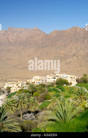 Das Dorf Wekan und seine Plantagen befindet sich hohe Ghubrah Bowl und Umgebung der Jebel Akhdar Gebirge im Oman. Stockfoto