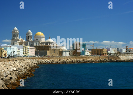 Blick auf Cádiz Kathedrale von der Promenade in Campo del Sur Straße Stockfoto