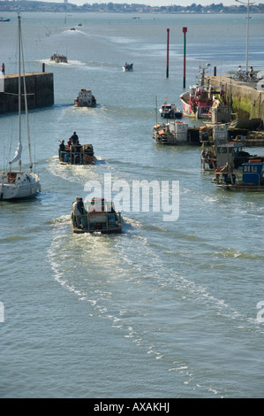 Hafen von Le Chateau d'Oléron bei Ebbe-Gezeiten, Frankreich Stockfoto
