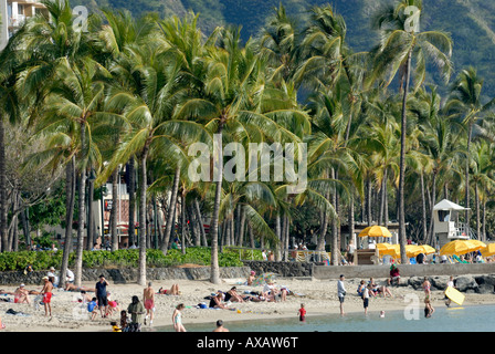 Palmen und Strand-Gänger am Waikiki Beach Oahu Hawaii Stockfoto