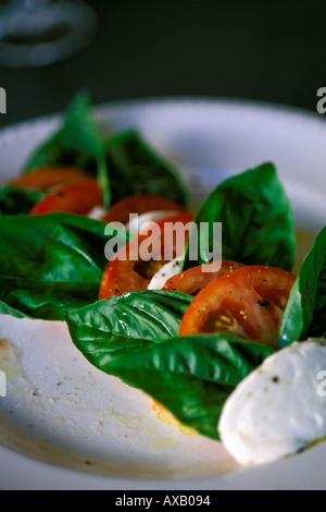 Essen, Caprese-Salat, hausgemachte Mozzarella mit Tomaten und frischem Basilikum Stockfoto
