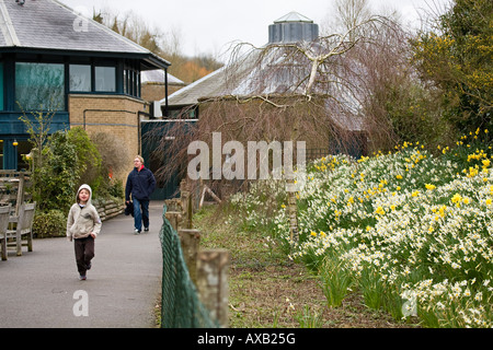 Besucher des Arundel Wildfowl and Wetlands Trust im Frühling Stockfoto