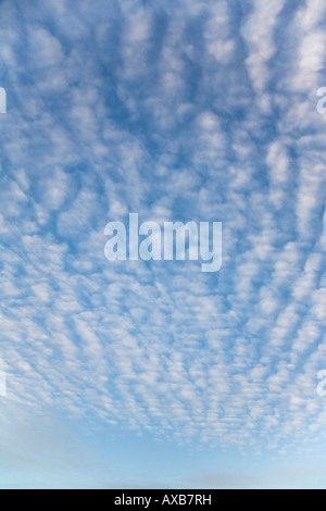 Altocumulus weiße Wolken im blauen Himmel und Sonnenschein Stockfoto