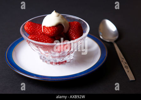 Stillleben von frischen Erdbeeren & Creme in eine Schüssel Stockfoto