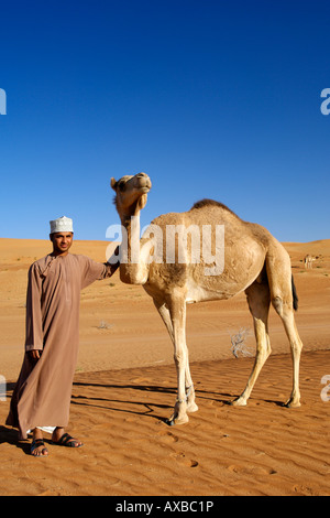 Ein omanischen Mann stehend mit einer arabischen Kamels aka ein einer buckligen Dromedar (Camelus Dromedarius) im Wahiba Sands im Oman. Stockfoto