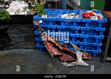 Thunfisch-Skelett beim Fischhändler IN BROADWAY MARKET IN LONDON Foto Julio Etchart Stockfoto