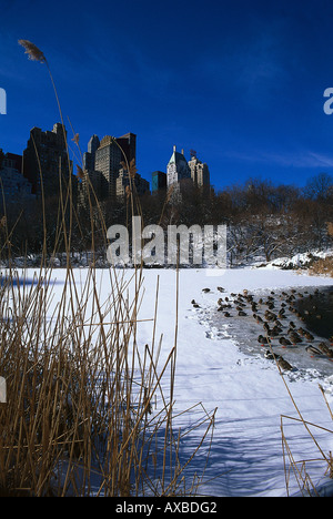 Der Teich, Central Park im Winter, Skyline, Central Park Süd-Manhattan, New York, USA Stockfoto