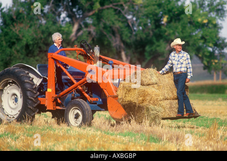 Montana Ranch Familie holt Heuballen Stockfoto