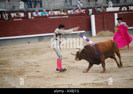 Stierkampf, Arena Las Ventas, Madrid, Spanien Stockfoto