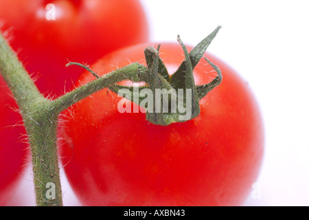 Stillleben mit drei Kirschtomaten hautnah Stockfoto