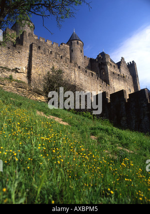 Blumenwiese unter Carcassonne zitieren Zitadelle Aude Departement Languedoc-Roussillon-Süd-West-Frankreich Stockfoto