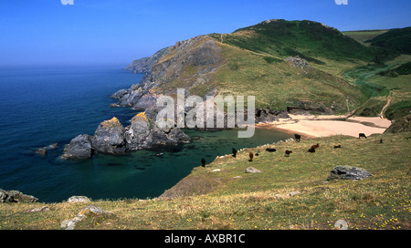 Soar Mill Cove auf der südlichen Küste von Devon, in der Nähe von Salcombe Stockfoto