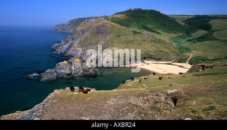 Soar Mill Cove auf der südlichen Küste von Devon, in der Nähe von Salcombe Stockfoto