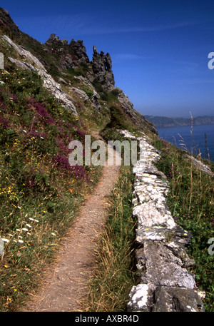 Auf den Courtenay Walk unter scharfen Tor, in der Nähe von Salcombe South Devon Stockfoto