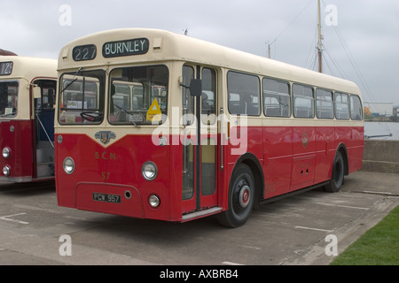 Leyland Tiger Cub einzelne Decker Bus Transportbus Stockfoto