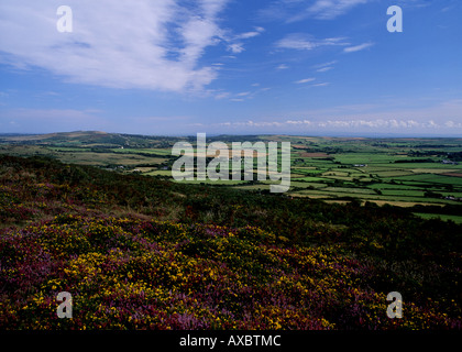 Blick vom Llanmadoc Hill über Norden Gower Heather im Vordergrund Gower Halbinsel South Wales UK Stockfoto