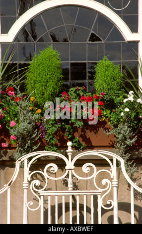 Crewe Cheshire Blumenkästen am Rathaus Stockfoto