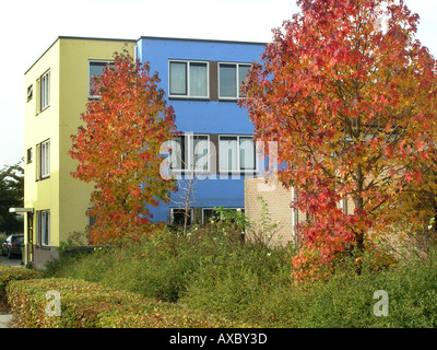 bunte Mehrfamilienhaus in Almere Buiten Niederlande Stockfoto