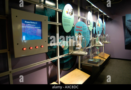 Innenraum des Louisville Science Center in Louisville Kentucky Stockfoto