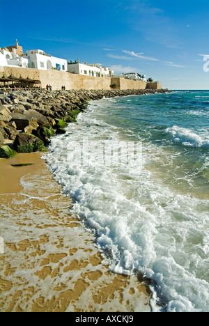 Medina und Waterfront. Hammamet.Tunis Stockfoto