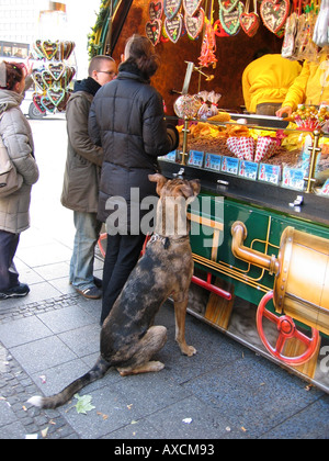 Kunde mit seinem Hund am Straßenmarkt stall Berlin Deutschland Stockfoto