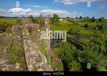 Die 13 Bogenbrücke aus der Burg, Glanworth, County Cork, Irland Stockfoto