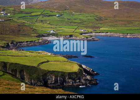 Blick auf die Küste auf auf dem Wilden Atlantik Weg, Beara Way, in der Nähe von Ballydonegan, Beara Halbinsel, County Cork, Irland Stockfoto