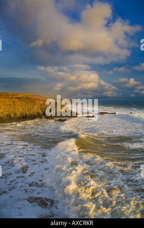 Bühne-Bucht, in der Nähe von Bunmahon, der Kupfer-Küste, Grafschaft Waterford, Irland Stockfoto