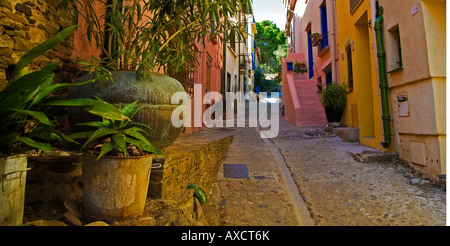 Bunte Gasse in Collioure Fischerdorf und Künstlerkolonie, Pyrenäen-Orientales, Frankreich Stockfoto