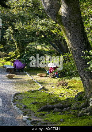 FRÜHLING IM KENROKUEN GARTEN, KANAZAWA, JAPAN. ALLGEMEIN GILT ALS EINER DER DREI SCHÖNSTEN GÄRTEN IN JAPAN. Stockfoto