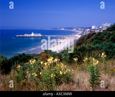 Blick auf Bournemouth Pier von East Cliff Stockfoto