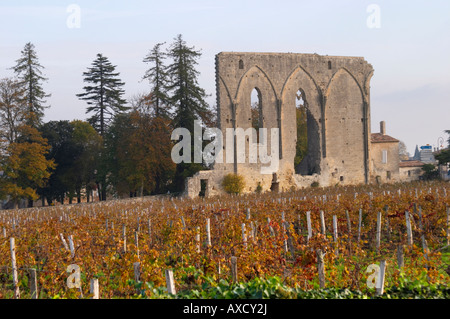 Weingut. Ruine einer Kirche. Chateau Les Grandes Mauern, Saint Emilion, Bordeaux, Frankreich Stockfoto