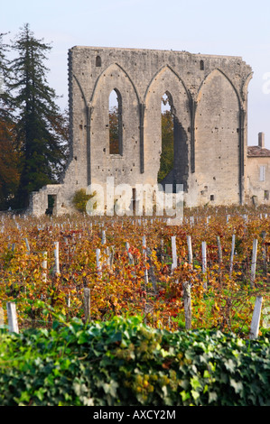 Weingut. Ruine einer Kirche. Chateau Les Grandes Mauern, Saint Emilion, Bordeaux, Frankreich Stockfoto