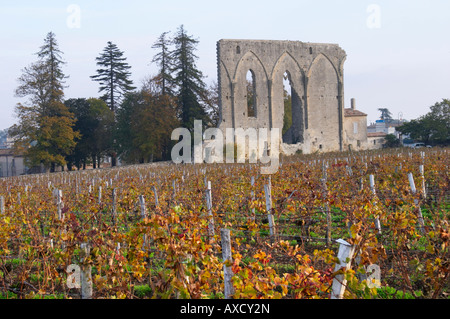 Weingut. Ruine einer Kirche. Chateau Les Grandes Mauern, Saint Emilion, Bordeaux, Frankreich Stockfoto