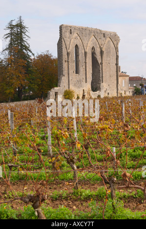 Weingut. Ruine einer Kirche. Chateau Les Grandes Mauern, Saint Emilion, Bordeaux, Frankreich Stockfoto