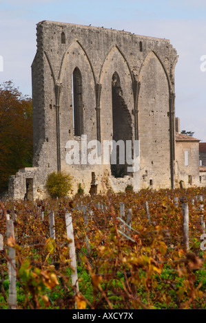 Weingut. Ruine einer Kirche. Chateau Les Grandes Mauern, Saint Emilion, Bordeaux, Frankreich Stockfoto