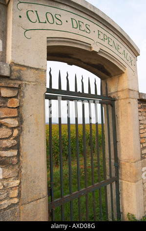 Weingut. Clos des Epenaux. Pommard, Côte de Beaune, d ' or, Burgund, Frankreich Stockfoto