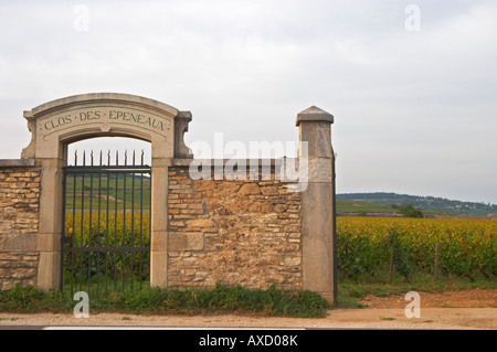 Weingut. Clos des Epenaux. Pommard, Côte de Beaune, d ' or, Burgund, Frankreich Stockfoto