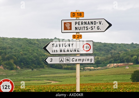 Weingut. Pernand Vergelesses, Nuits Saint Georges, Savigny Les Beaune, Burgund, Frankreich-Burgund, Frankreich Stockfoto