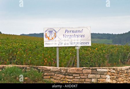 Weingut. Pernand Vergelesses, Ile de Vergelesses. Burgund, Frankreich Stockfoto