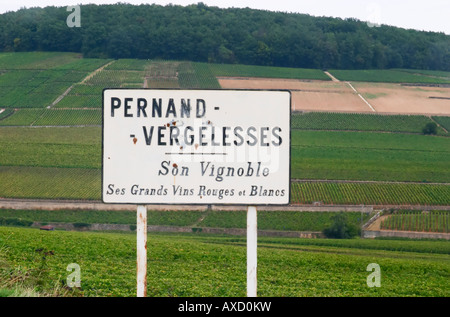 Weingut. Pernand-Vergelesses. Burgund, Frankreich Stockfoto