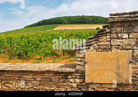 Weingut. Domaine Bonneau du Martray, Corton Charlemagne. Aloxe Corton, Côte de Beaune, d ' or, Burgund, Frankreich Stockfoto