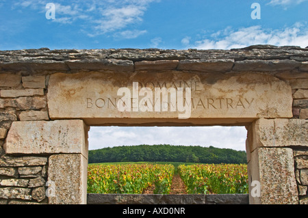 Weingut. Domaine Bonneau du Martray, Corton Charlemagne. Aloxe Corton, Côte de Beaune, d ' or, Burgund, Frankreich Stockfoto