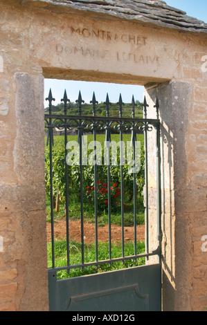 Weingut. Domaine Leflaive. "Le Montrachet" Grand Cru, Puligny Montrachet, Côte de Beaune, d ' or, Burgund, Frankreich Stockfoto