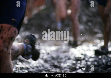 Bretagne Cross Country Meisterschaft Stockfoto