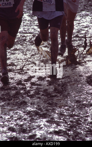 Bretagne Cross Country Meisterschaft Stockfoto