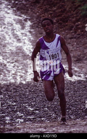 Bretagne Cross Country Meisterschaft Stockfoto