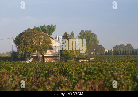 Weingut. Und Haus, Château Le Pin. Pomerol, Bordeaux, Frankreich Stockfoto